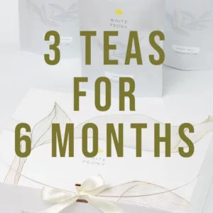 Gourmet Plan 3 teas for 6 months