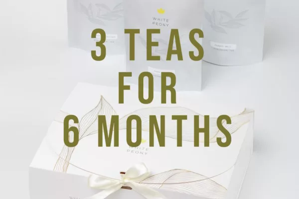Gourmet Plan 3 teas for 6 months