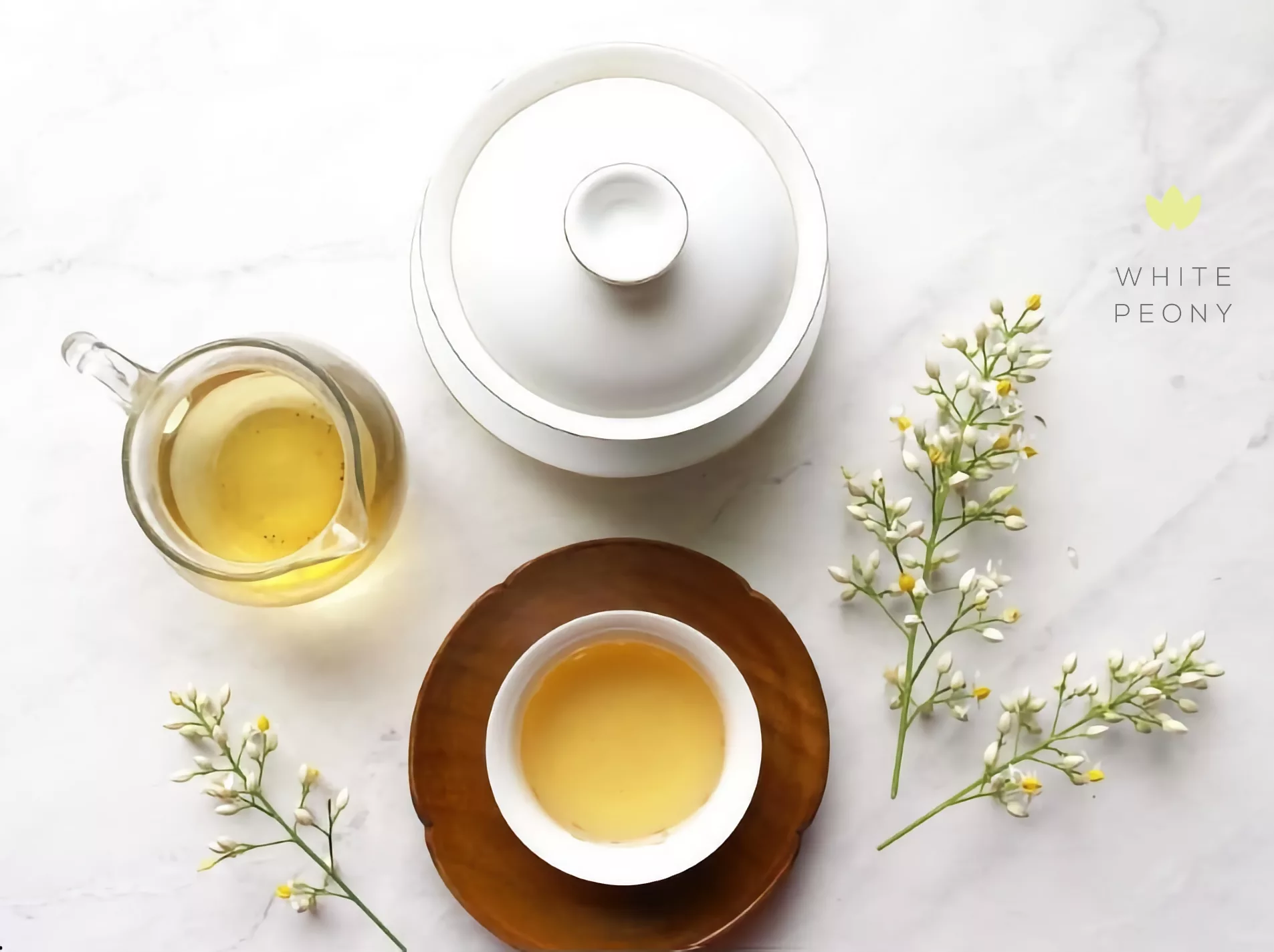 🍃 Green Tea Monthly Subscription: A Health & Wellness Perspective 🍃 Green Tea Monthly Subscription: A Health & Wellness Perspective
